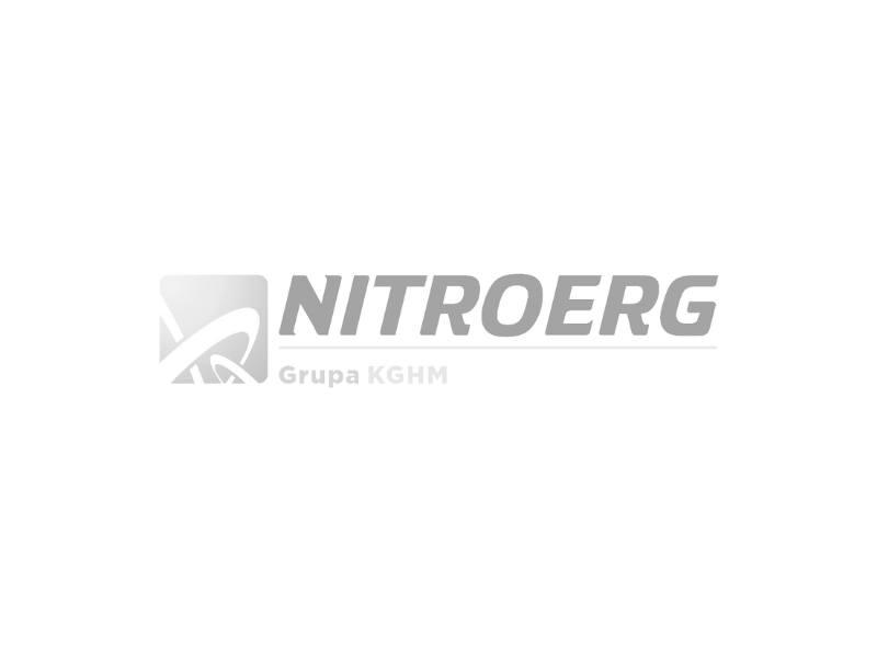 Logo NITROERG